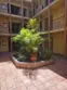 11507 Moorpark Street ##305 thumbnail 19