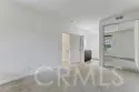 5 Cinnamon Teal thumbnail 18