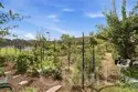 5705 Friars #22 thumbnail 5