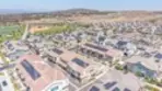 39438 Corvina thumbnail 27
