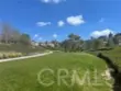 26775 Chamomile thumbnail 62
