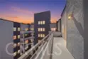 838 Pine thumbnail 15