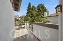 12921 Ternberry Court thumbnail 24