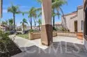 39734 Avenida Miguel Oeste thumbnail 3