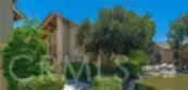 303 Tangelo #347 thumbnail 2