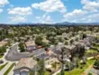 41211 Pine Tree thumbnail 8