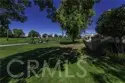 40536 Via Estrada thumbnail 39