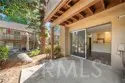 208 Orange Blossom thumbnail 14