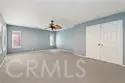 27737 Hackberry thumbnail 24