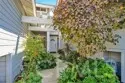 2342 Aspen Street thumbnail 3