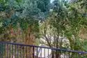 4750 Noyes #218 thumbnail 24