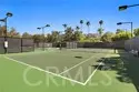 154 Chandon thumbnail 53