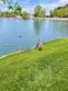 2 Greenleaf thumbnail 17