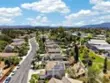 41211 Pine Tree thumbnail 9