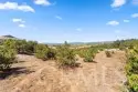 24135 Mirasol Way thumbnail 56