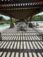 27139 Tube Rose Street thumbnail 61
