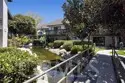 306 Orange Blossom thumbnail 8