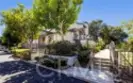 11 Sunshine thumbnail 2