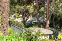 5586 Renaissance #3 thumbnail 13