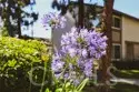 1419 Norwich Lane thumbnail 26