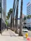 1745 Camino Palmero Street #334 thumbnail 25