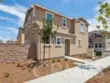 40101 Campos Elegantes thumbnail 1