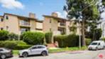 6151 Canterbury Drive #103 thumbnail 23