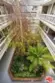 13078 Mindanao Way #314 thumbnail 37