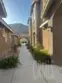 824 Coriander #504 thumbnail 3