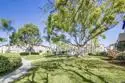 3637 Avocado Village Court #99 thumbnail 10