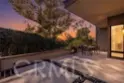 11 Palos #55 thumbnail 2