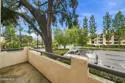 5535 Canoga Avenue #109 thumbnail 8