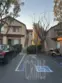 21245 Camelia #27 thumbnail 43