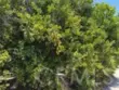 44952 Vista Del Mar thumbnail 27