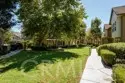 20 Orange Blossom Circle thumbnail 33