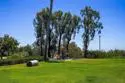 8166 Paradise Valley Court thumbnail 21