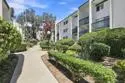 4064 Huerfano Avenue #251 thumbnail 20