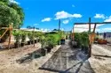 39145 Calle Cordova thumbnail 25