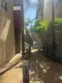 302 E 19th #3 thumbnail 3