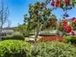 1210 Camino Del Lago thumbnail 32