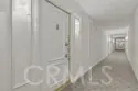 101 Scholz #225 thumbnail 5