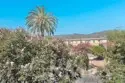 572 E San Jose Avenue #104 thumbnail 31