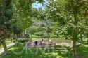 31383 E Nine Drive thumbnail 21