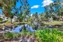 27025 Mill Pond thumbnail 36