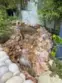 18645 Hatteras Street #278 thumbnail 27