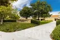 67 Canopy thumbnail 62
