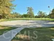 2 Snapdragon thumbnail 41
