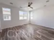 41534 King Palm thumbnail 11