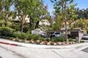 21256 Camelia thumbnail 32