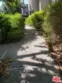 2311 Summertime Lane thumbnail 22